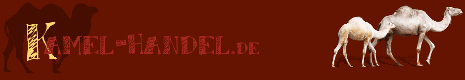 Kamele bei Kamel-Handel.de